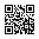 Правительство Ленинградской области   https://lenobl.ru/support/.